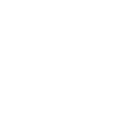 Rail Innovators Group logo