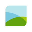 PriMed Management Consulting logo