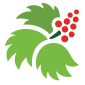 SouthEast Alaska Regional Health Consortium logo