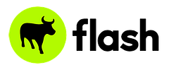 Flash logo