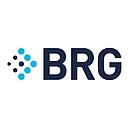 Berkeley Research Group logo