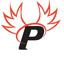 
      Paragon Cyber Solutions
     logo