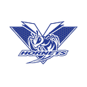 Vinita Independent School District 65 logo