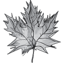 Maple Grove Corp DBA Maple Grove Enterprises logo