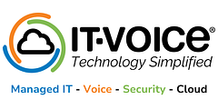IT Voice logo