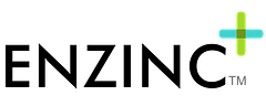 Enzinc logo