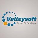 Valleysoft logo
