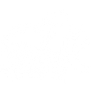 Mammoth Brands logo
