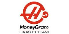 Haas F1 Team logo
