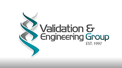 Validation & Engineering Group logo