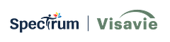 Visavie logo
