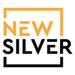 New Silver logo