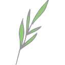 Billies House logo
