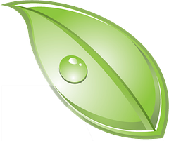 IVC Vita Health logo