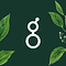 Holistic Industries logo