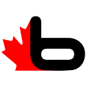 Bsaunas Inc. logo
