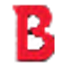 Brix Paving Northwest Inc logo