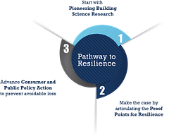 Insurance Institute for Business & Home Safety logo