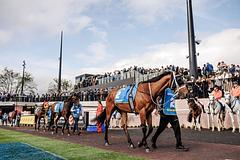 Melbourne Racing Club logo