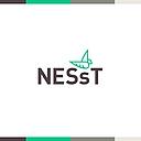 NESsT Inc logo