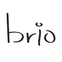 Brio Medical logo