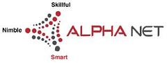 Alpha Net Consulting. logo