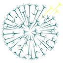 Dandelion Health Inc logo