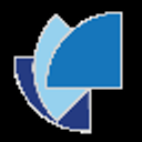 Fortune International logo