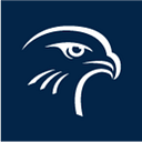 Falk Panel logo
