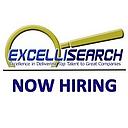 ExcelliSearch logo