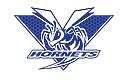 Vinita Independent School District 65 logo
