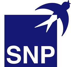 SNP Schneider-Neureither & Partner SE logo