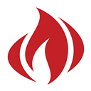 NAPOLEON logo