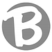 Brady Trucking logo