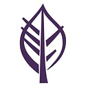 Accord logo