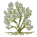 Saltbush Social Enterprises Limited logo