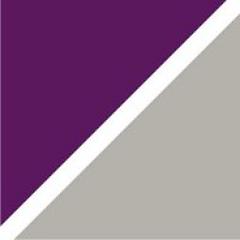 Serial de la Torre logo