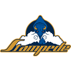 Sioux Falls Stampede logo