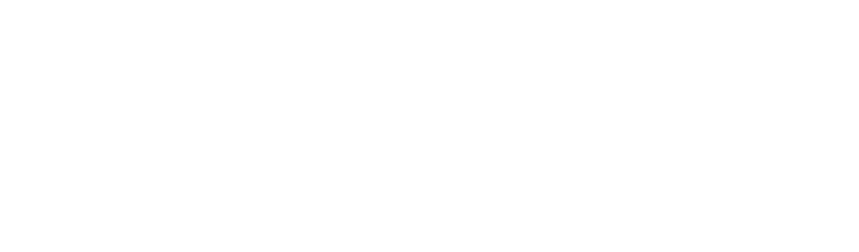 Wellbore Integrity Solutions Careers logo