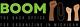 Partner logo