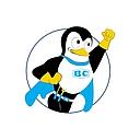 Apex Service Partners logo