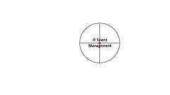 IT Talent Management logo