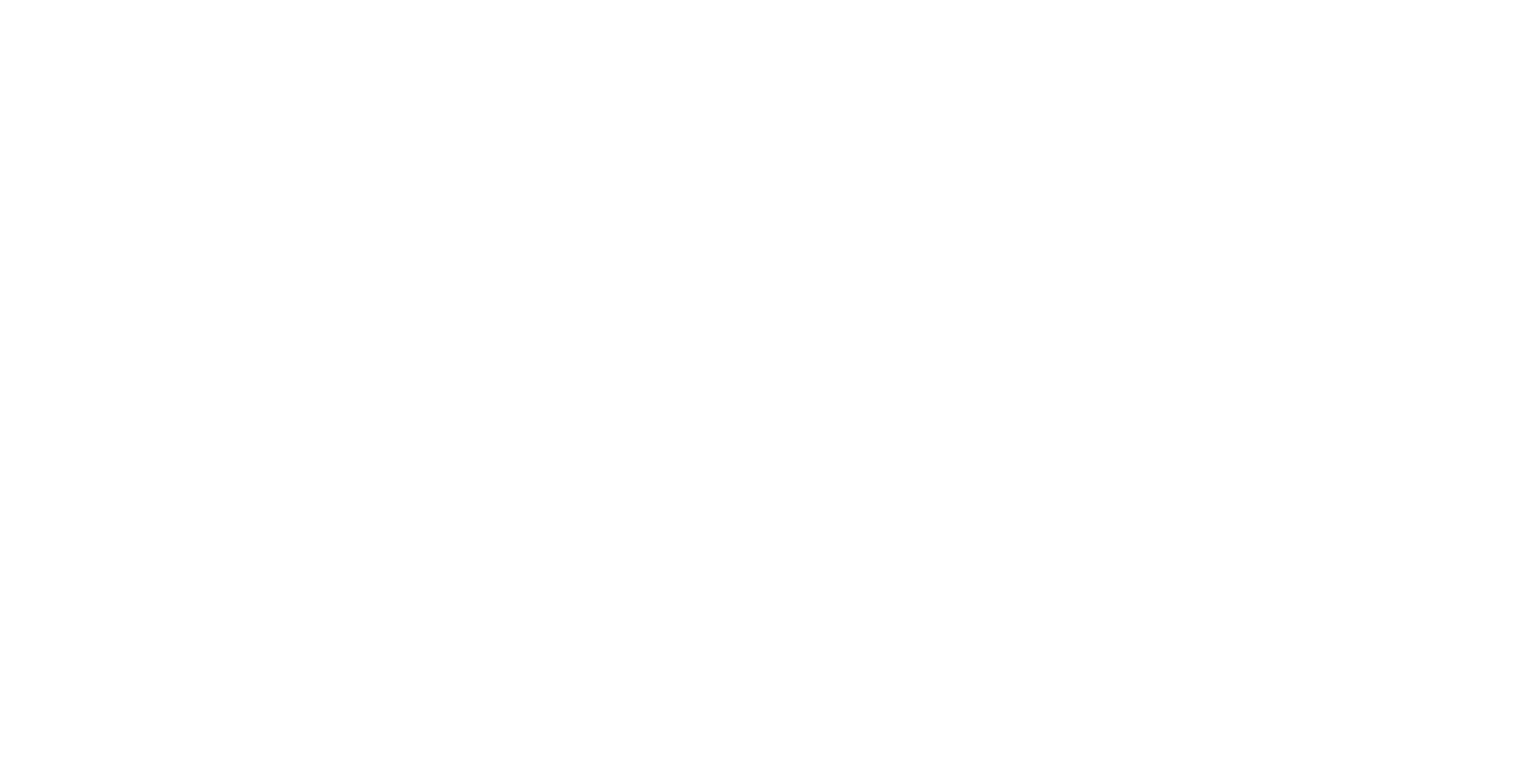 2020 Companies logo