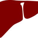 York University  logo