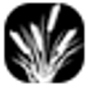 Redwood Living Inc logo