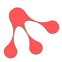 Red Frog Solutions logo