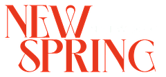 New Spring Network logo