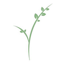 The 501 at Madison Estate logo