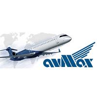 Avmax Montana logo