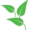 Little Leaves logo